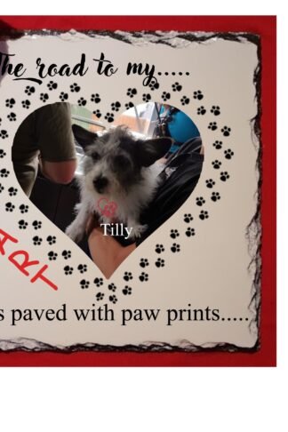 Pet Memorial Slate - You Paved the way to my Heart