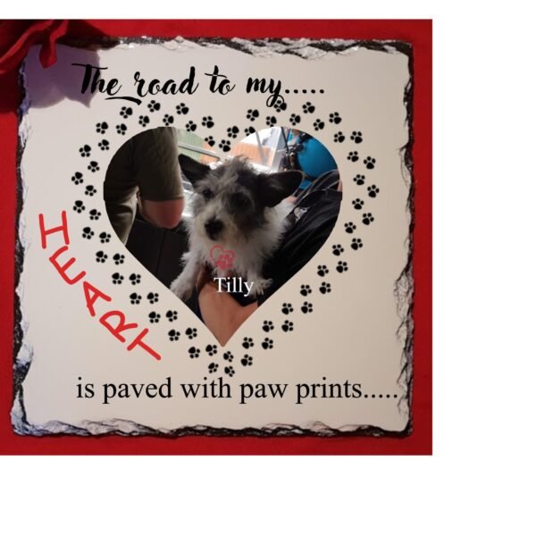 Pet Memorial Slate - You Paved the way to my Heart